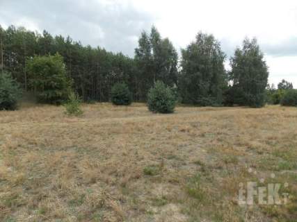 Działka inwestycyjna na sprzedaż, 2670 m2, Grabce-Towarzystwo