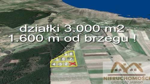 działka granicząca z lasem 