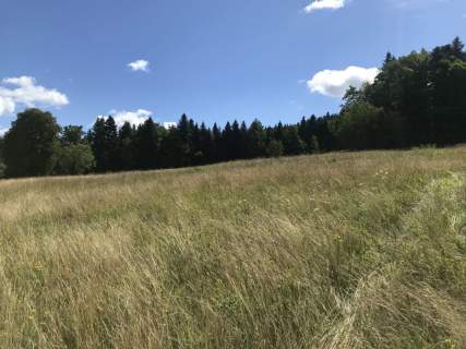 Widokowa działka rolna obok terenów budowlanych