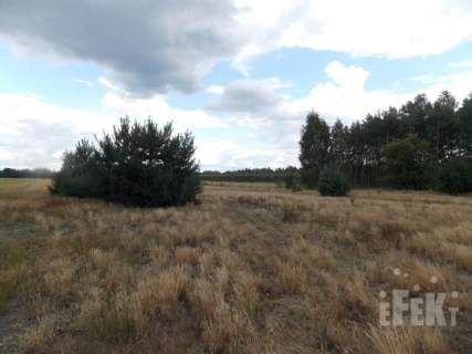 Działka inwestycyjna na sprzedaż, 2670 m2, Grabce-Towarzystwo