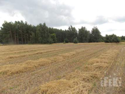 Działka inwestycyjna na sprzedaż, 2670 m2, Grabce-Towarzystwo