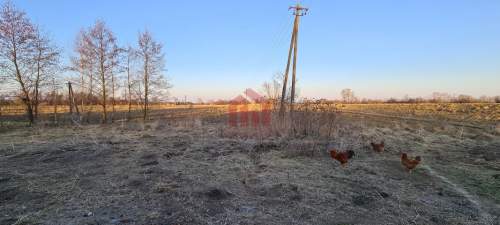 Na sprzedaż działka z domem oraz polem o dużej powierzchni w...