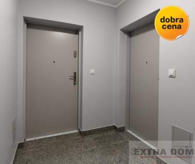 Promocja - parter