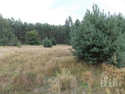 Działka inwestycyjna na sprzedaż, 2670 m2, Grabce-Towarzystwo
