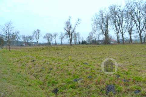 Działka inwestycyjna na sprzedaż, 6500 m2, Bolemin