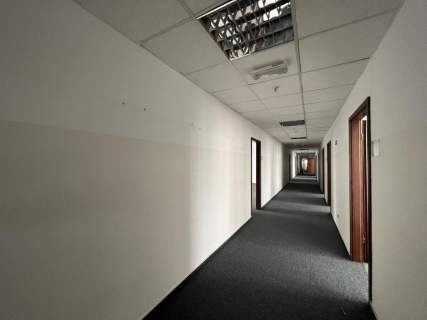 Duża powierzchnia biurowa do wynajęcia