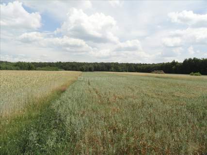 Działka rolna na sprzedaż, 7300 m2, Łask