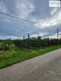 Działka rolna sad w okolicach Sandomierza