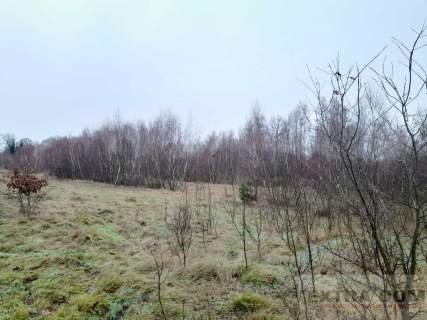 Działka budowlana na sprzedaż, 1400 m2, Krasnołęka
