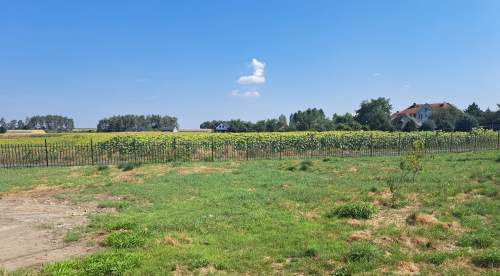 DOM bliźniak 130 m2 działka 850m2 5km od Głogowa