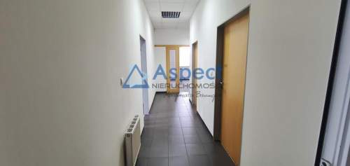 Biuro do wynajęcia, 240 m2, Szczecin