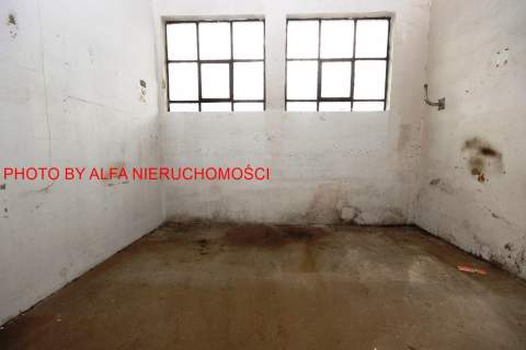 Do wynajęcia hala - łączna powierzchnia 248m2 
