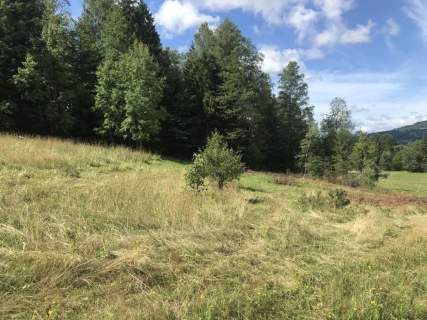 Widokowa działka rolna obok terenów budowlanych