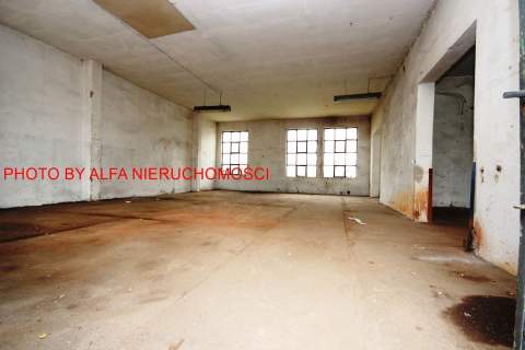 Do wynajęcia hala - łączna powierzchnia 248m2 