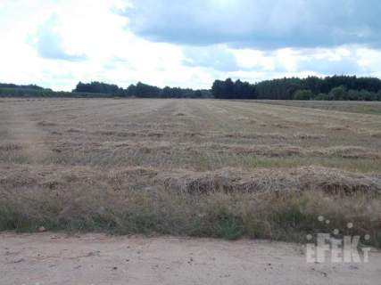 Usługowo mieszkaniowa