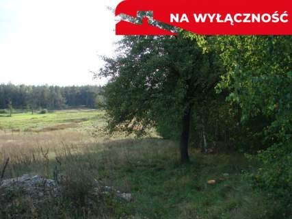 DUŻA DZIAŁKA Z POTENCJAŁEM