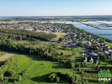 Działka w Występie w otoczeniu natury blisko drogi