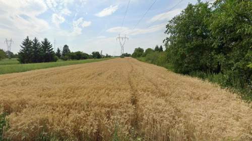 Grunt rolny w Lublinie o powierzchni 54 ar