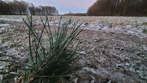 30a w doskonałej lokalizacji pod Kazimierzem D