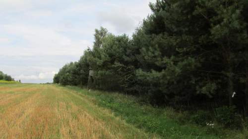 Działka rekreacyjna, leśna w gminie Żołynia