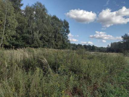 Działka rolno-rekreacyjna w Makowisku