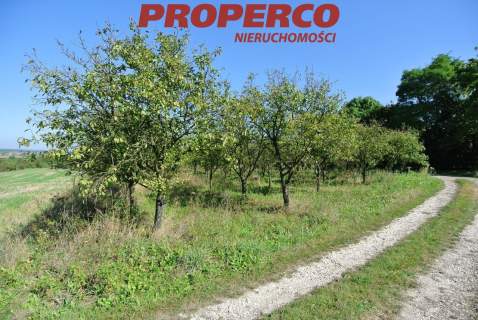 Działka 5400m2, Widuchowa, Busko-Zdrój