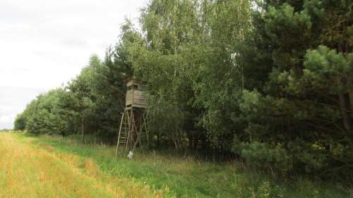 Działka rekreacyjna, leśna w gminie Żołynia