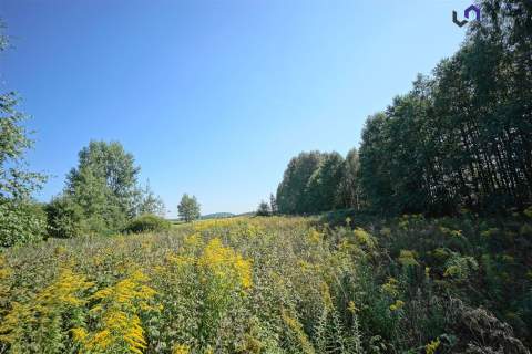 Działka rolna na sprzedaż, 4731 m2, Dąbrowa Górnicza