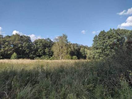 Działka rolno-rekreacyjna w Makowisku