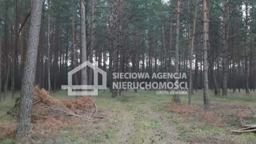 6,35ha Wdzydze Tucholskie nad jeziorem Wdzydzkim 