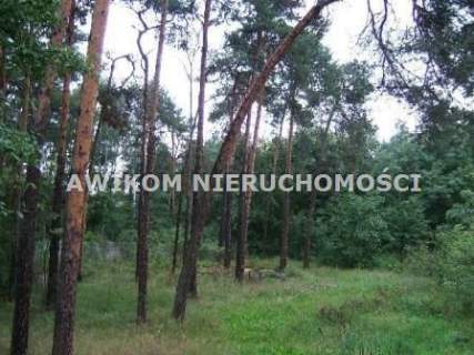 Działka budowlana na sprzedaż, 11500 m2, Piotrkowice