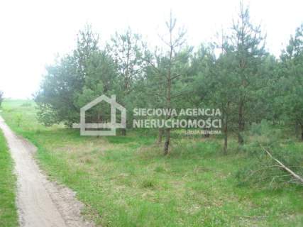 Urokliwa działka w Borach Tucholskich.