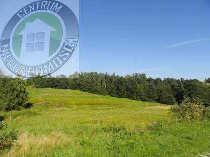 Działka budowlana na sprzedaż, 1040 m2, Nowy Sącz