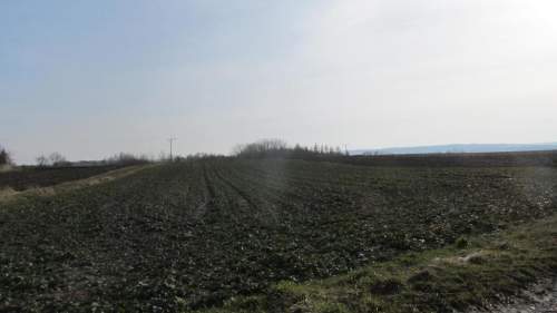 Działka rolna w gminie Roźwienica