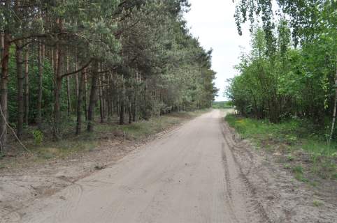 DZIAŁKA WYSOKA Z WARUNKAMI ZABUDOWY
