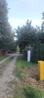 Topolin-dziłka rolna.