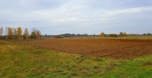 Grunt rolny - 55 ar - Samoklęski, gmina Kamionka