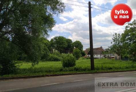 Sprzedam dużą działkę siedliskową w Korytowie