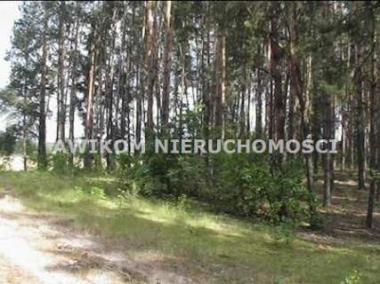 Działka budowlana na sprzedaż, 11500 m2, Piotrkowice