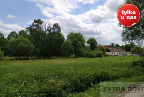 Sprzedam dużą działkę siedliskową w Korytowie