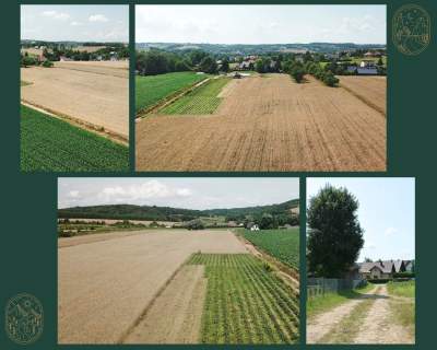 Działka rolna 1 ha w malowniczej okolicy.