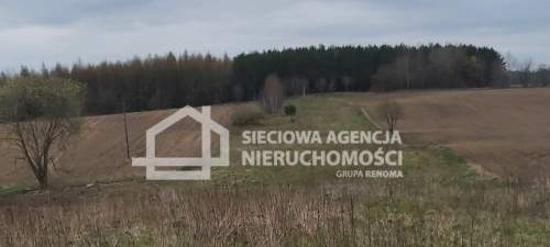 Działka budowlana 8800m2 Borowina