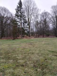 Rzędziny,2000m2,zabud. jednorodzinna,las-park.