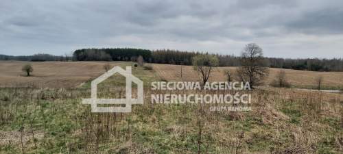 Działka budowlana 8800m2 Borowina
