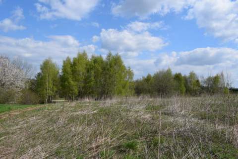 Działka rolno-budowlana 28a, Chmielnik