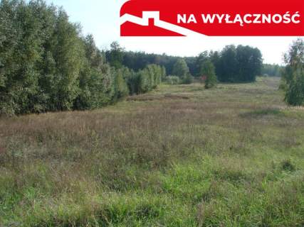 DUŻA DZIAŁKA Z POTENCJAŁEM