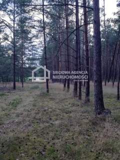 6,35ha Wdzydze Tucholskie nad jeziorem Wdzydzkim 