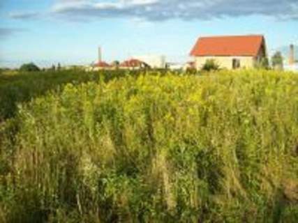 Działka budowlana L ubaczów
