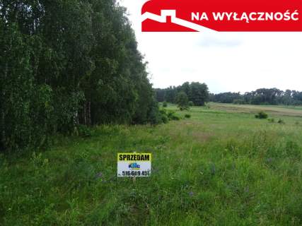 DUŻA DZIAŁKA Z POTENCJAŁEM