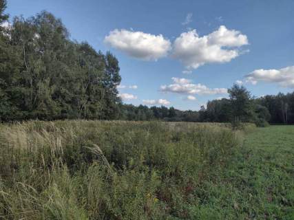Działka rolno-rekreacyjna w Makowisku